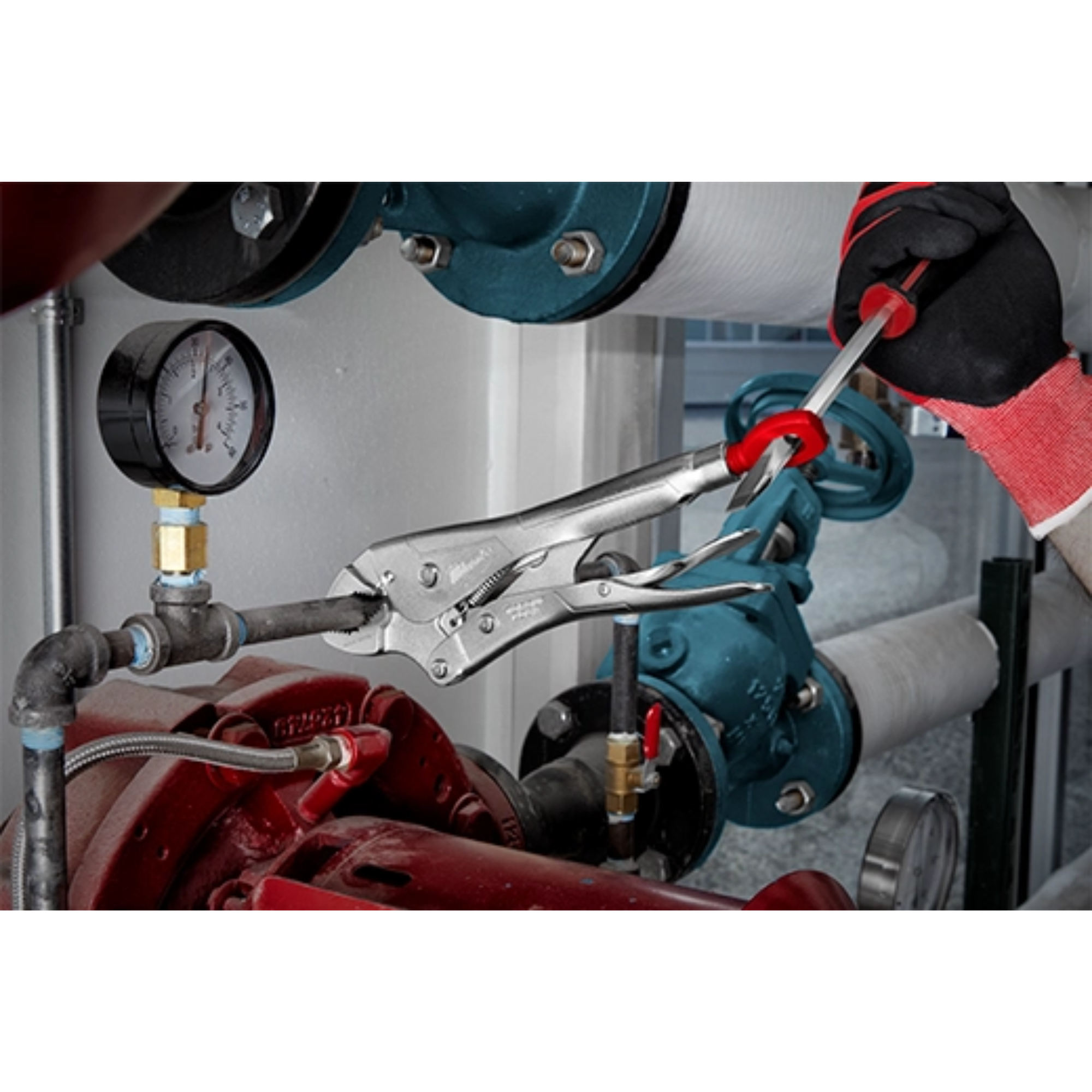 Milwaukee 10" TORQUE LOCK Straight Jaw Locking Pliers with Grip from GME Supply